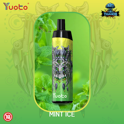 14ml 650mah Mesh Coil Mini Vape sekali pakai dengan Tipe C Fast Shipping