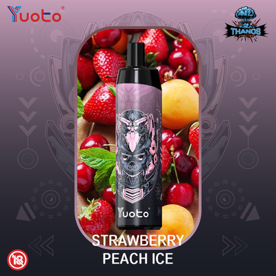 14ml 650mah Mesh Coil Mini Vape sekali pakai dengan Tipe C Fast Shipping
