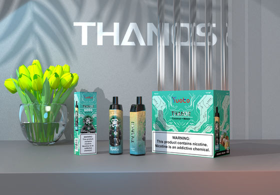 20 Rasa Panas 5000 Puffs Mesh Coil Disposable Vape 14ml E Liquid 650mAh Battery